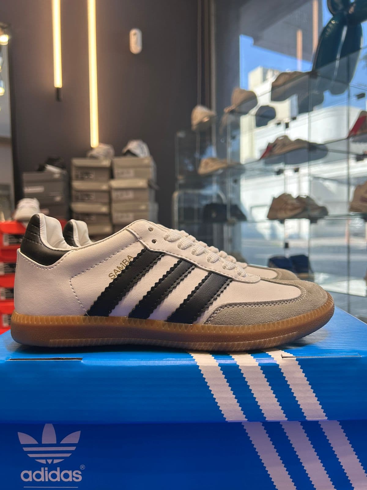 SAMBA vista 2